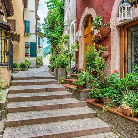 Mimosa In Hilly Area- Dog Friendly - Happy Apartman